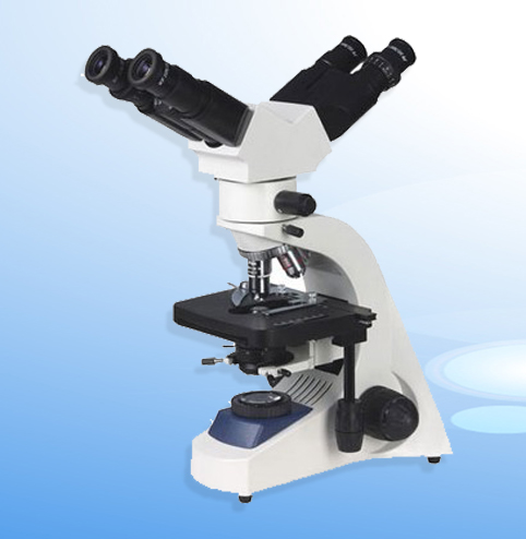 �̌W�������@΢�R XSP-14A�r��